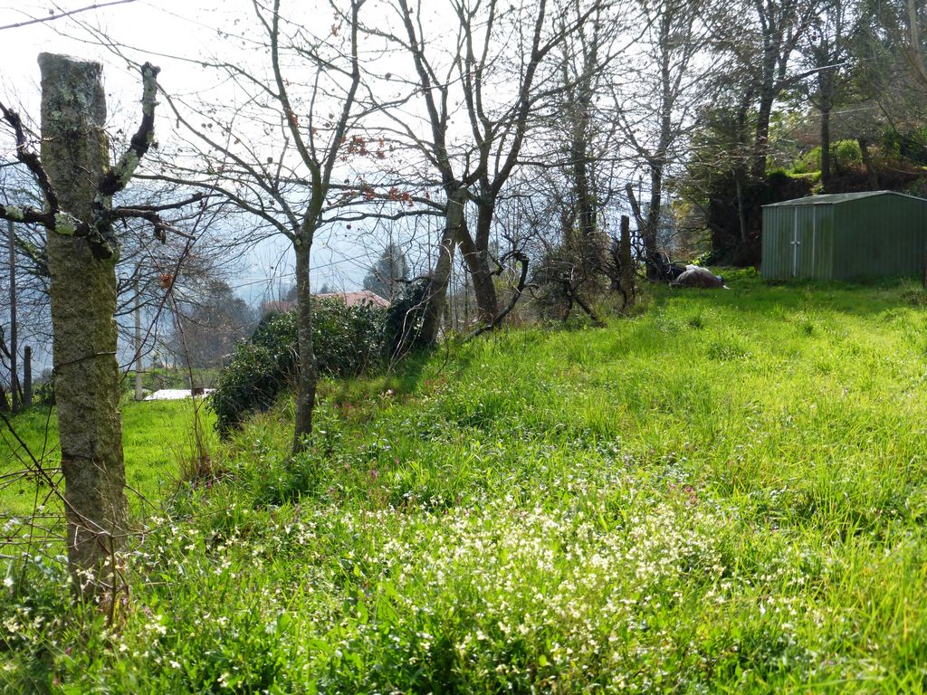 Quinta